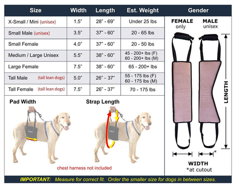 Dog Sling Hip Lift Harness, Tall Male fits Tall, Lean Dogs Like Greyhounds or...