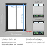 Changshade Blackout Cellular Shades Cordless, Top Down Bottom Up Blinds for W...