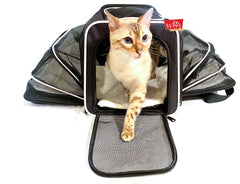 Wigzi Expandable Pet Travel Carrier for Cats, Small Dogs and Pets Up to 20lbs...