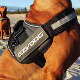 EzyDog Convert Trail-Ready Outdoor Adjustable Dog Harness - Perfect for Hikin...