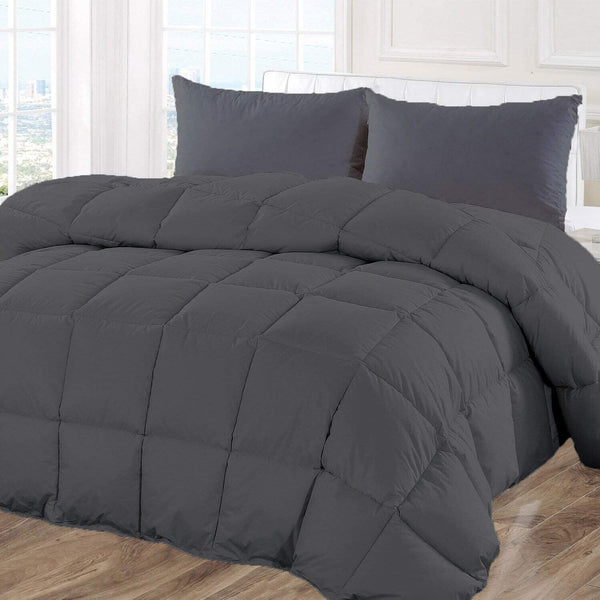 All Season Eastern King -Grey Comforter, 100% Organic 3 PC Box Stitched Comfo...