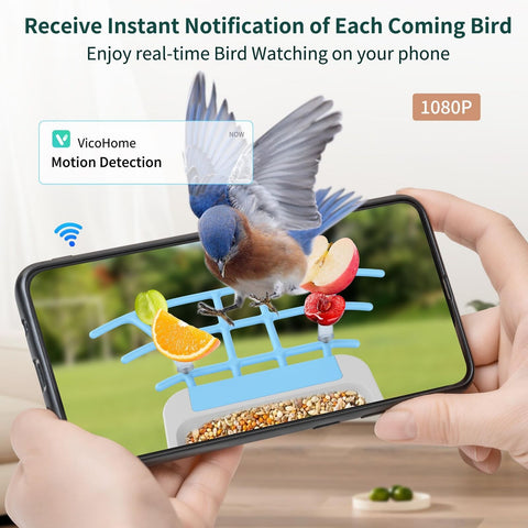 Smart Bird Feeder with Camera Solar Powered, 1080P HD AI Identify Wild Bird F...