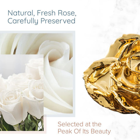 24K Gold Dipped Rose, Unique & Everlasting Real Hand Dipped in 24K Gold Rose,...