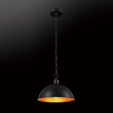 Globe Electric 67000100 1-Light Pendant Light, Weathered Black Finish, Hammer...