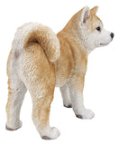 Hi-Line Gift 87790-C Akita Dog Standing Statue