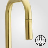 Pfister Zanna Kitchen Faucet with Pull Down Sprayer and Soap Brushed Gold