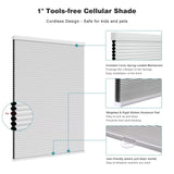 Changshade Blackout Blinds, Cordless Cellular Shades, 1 Inch Blackout Shades,...