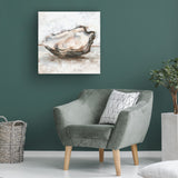 Trademark Fine Art 'Oyster Study I' Canvas Art by Ethan Harper 24x24