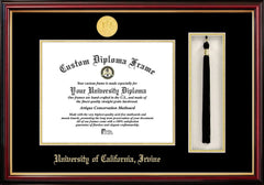 Campus Images CA933PMHGT UC Irvine Tassel Box and Diploma Frame, 11" x 8.5"