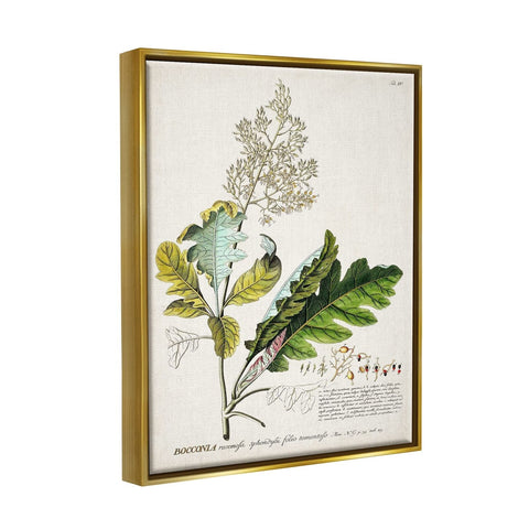 Stupell Industries Botanical Plant Illustration Leaves Vintage Design, Design...