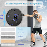 Music Boxing Machine, Smart Bluetooth Boxing Machine with Boxing Gloves for H...