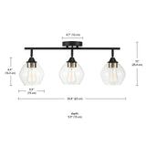 Globe Electric 59619 Harrow 3-Light Track Lighting, Matte Black, Antique Bras...