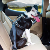 Kurgo Impact Dog Car Harness, Crash Tested Dog Car Harness, Safety Harness fo...