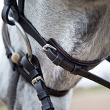 HORZE Weston Padded Leather Snaffle Bridle with Flash Noseband and Web Reins ...