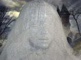 Haunted Hill Farm 67" Hanging Ghost Halloween Animatronic