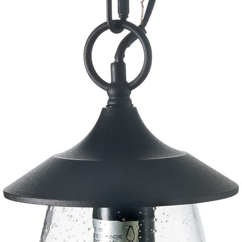 LOG BARN Outdoor Pendant Lights, Porch Fixture in Painted Black Metal with Cl...