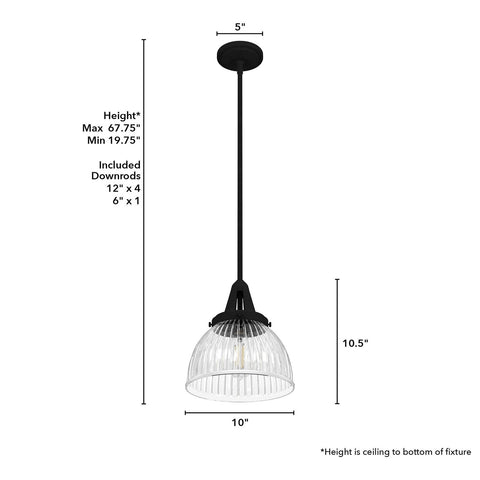 Hunter Fan Company 19247 Cypress Grove Pendant, Natural Iron