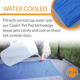 K&H Pet Products Coolin' Pet Cot, Outdoor Cooling Elevated Dog Cot for Large ...