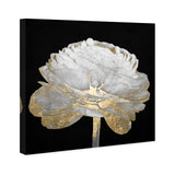 Oliver Gal 'Gold and Light Floral II' White Floral and Botanical Wall Art Can...