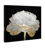 Oliver Gal 'Gold and Light Floral II' White Floral and Botanical Wall Art Can...