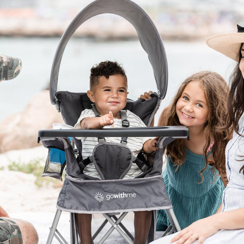 Baby Delight Go with Me Venture Portable Chair | Indoor and Outdoor | Sun Can...