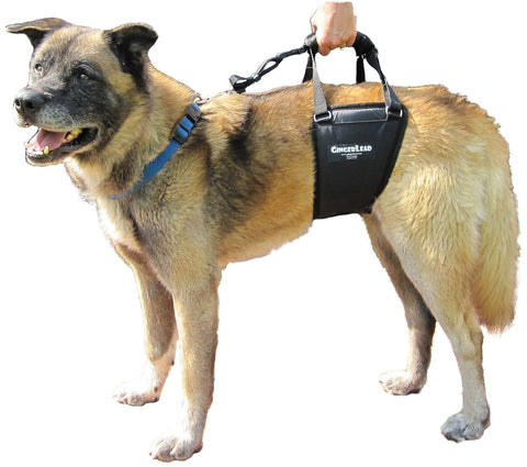 Dog Sling Hip Lift Harness, Tall Male fits Tall, Lean Dogs Like Greyhounds or...