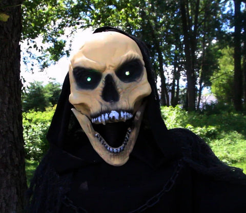 Haunted Hill Farm Life-Size Reaper Halloween Animatronic, Indoor or Outdoor H...