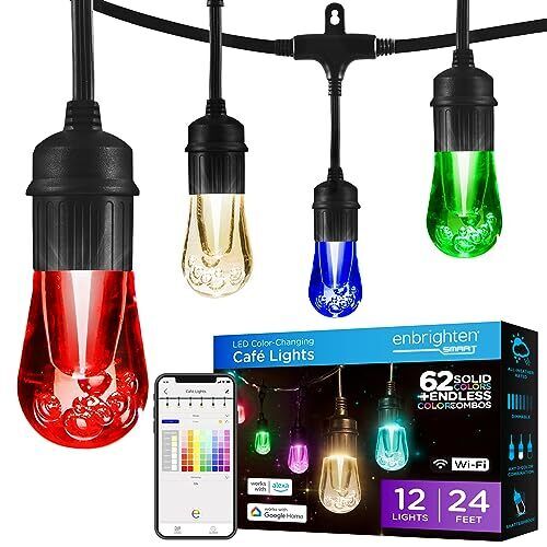 Enbrighten Premium Smart Color Changing String Lights, 24ft, Lights