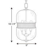 Cayce Collection 3-Light Clear Glass Global Pendant Light Polished Chrome