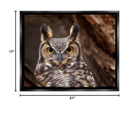 Stupell Industries Horned Owl Nature Photography Framed Floater Canvas Wall A...