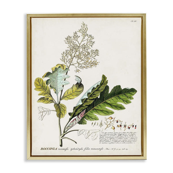 Stupell Industries Botanical Plant Illustration Leaves Vintage Design, Design...