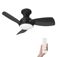 Consciot Ceiling Fan, 30 Inch Ceiling Fan With Lights Remote Control, Black L...