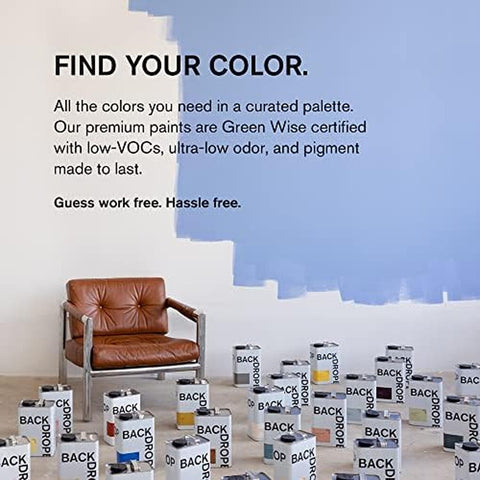 BACKDROP | Premium Interior Paint | Standard Semi Matte, Low Sheen Finish | S...