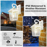 Outdoor Light Fixtures Wall Mount, Waterproof Exterior Wall Lanterns with Gla...