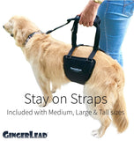 Dog Sling Hip Lift Harness, Tall Male fits Tall, Lean Dogs Like Greyhounds or...