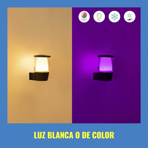 WiZ Connected Outdoor Light Fixture - Smart Wi-Fi Wall Light - Outdoor LED Po...