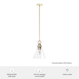 Hunter - Klein 1-light Alturas Gold, Medium Size Pendant Light, Dimmable, Cas...