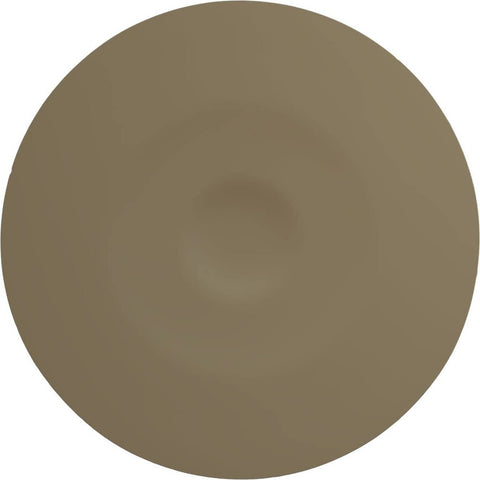 Ekena Millwork CM20BEFBS Raynor Ceiling Medallion, 20 5/8"OD x 1 3/8"P (Fits ...