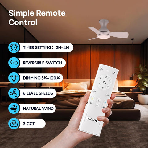 Consciot Ceiling Fan, 30 Inch Ceiling Fan With Lights Remote Control, White L...