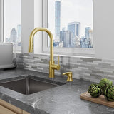 Pfister Zanna Kitchen Faucet with Pull Down Sprayer and Soap Brushed Gold