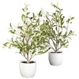 Nearly Natural 18in. Olive Silk Tree with Vase (Set of 2)