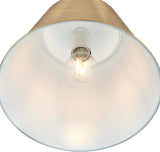 Westinghouse Lighting 6111500 Derose Transitional One-Light Brushed Brass