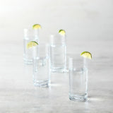 Zwiesel Glas Echo Longdrink Glasses(Set of 4), Modern Bar Glasses for Longdri...