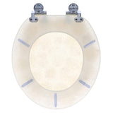 Home+Solutions Deluxe Resin Oyster Shell Decorative Round Toilet Seat - Coast...