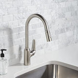 hansgrohe Focus N Stainless Steel High Arc Kitchen Optic