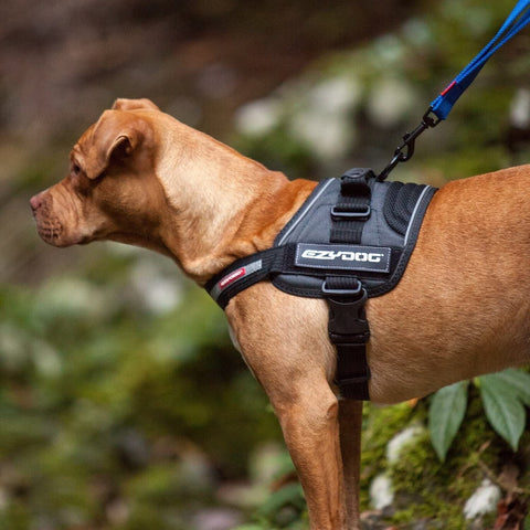 EzyDog Convert Trail-Ready Outdoor Adjustable Dog Harness - Perfect for Hikin...