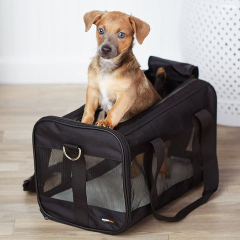 Amazon Basics Soft-Sided Mesh Pet Travel Carrier for Dog, Cat, Medium, 16.5" ...