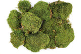 SuperMoss (21537 Mood Moss Dried, Natural, Bulk 1565 Cubic Inches Natural Dried