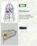 Chicken Wire Cloche for Outdoor Plants, Chicken Wire Plant Protector, Large G...