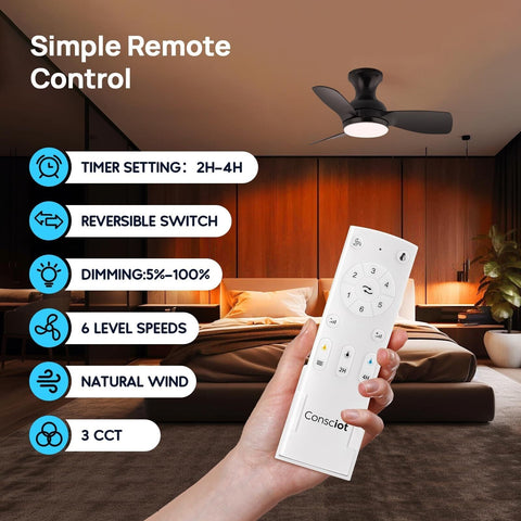 Consciot Ceiling Fan, 30 Inch Ceiling Fan With Lights Remote Control, Black L...